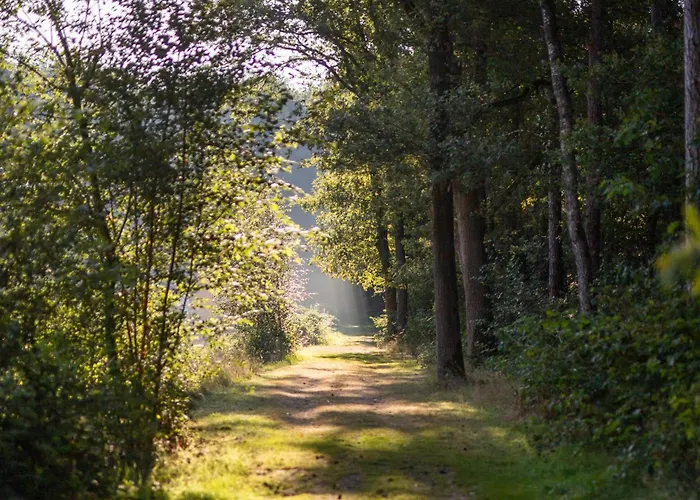 Luxury tent Safaritent 7