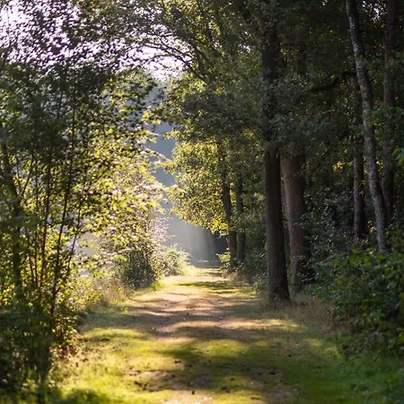 Luxuszelt Safaritent 7